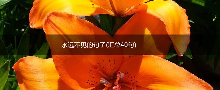 永远不见的句子(汇总40句),第1张