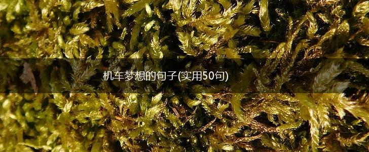 机车梦想的句子(实用50句),第1张