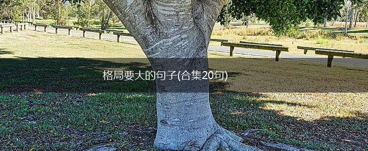 格局要大的句子(合集20句),第1张