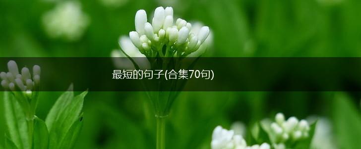 最短的句子(合集70句),第1张