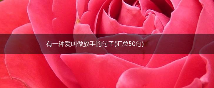 有一种爱叫做放手的句子(汇总50句),第1张