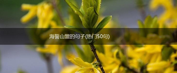 海誓山盟的句子(热门50句),第1张