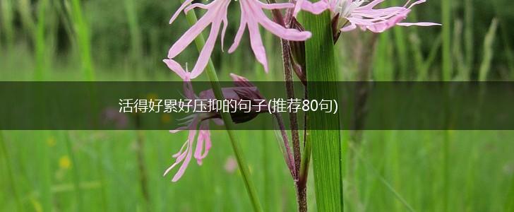活得好累好压抑的句子(推荐80句),第1张
