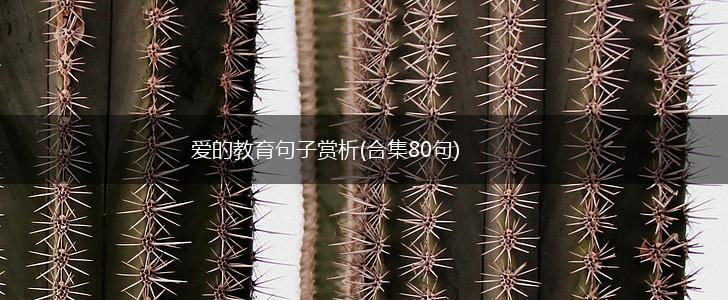 爱的教育句子赏析(合集80句),第1张