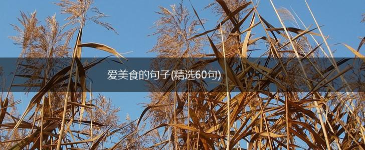 爱美食的句子(精选60句),第1张