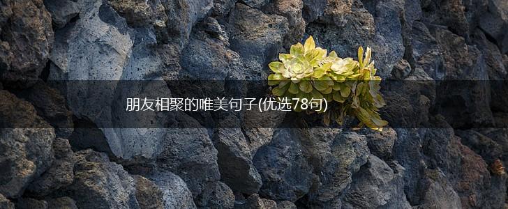朋友相聚的唯美句子(优选78句),第1张