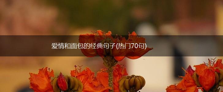 爱情和面包的经典句子(热门70句),第1张