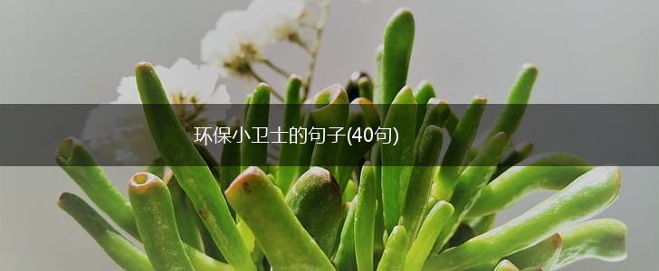 环保小卫士的句子(40句),第1张