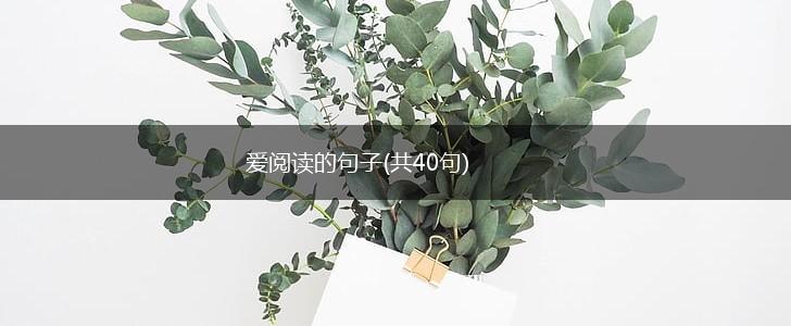 爱阅读的句子(共40句),第1张