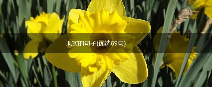 现实的句子(优选69句),第1张