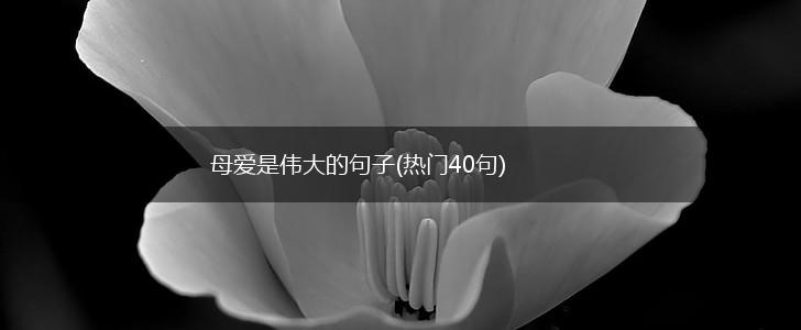 母爱是伟大的句子(热门40句),第1张