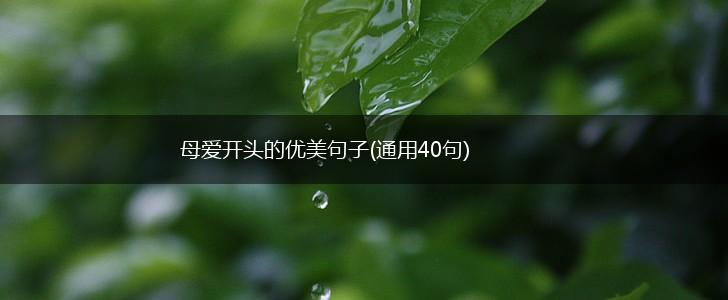 母爱开头的优美句子(通用40句),第1张