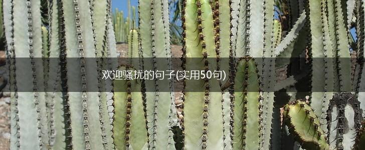 欢迎骚扰的句子(实用50句),第1张