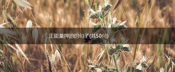 正能量押韵的句子(共50句),第1张