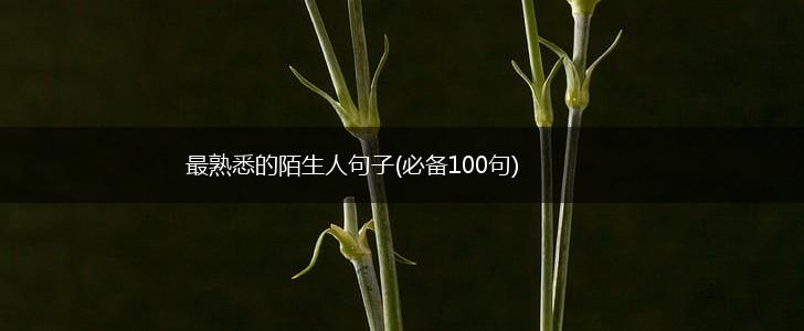 最熟悉的陌生人句子(必备100句),第1张