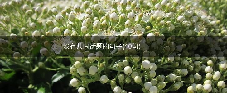 没有共同话题的句子(40句),第1张