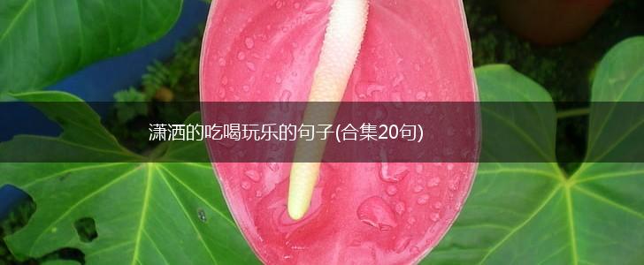 潇洒的吃喝玩乐的句子(合集20句),第1张