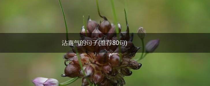 沾喜气的句子(推荐80句),第1张