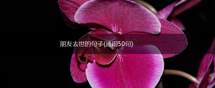 朋友去世的句子(通用50句),第1张