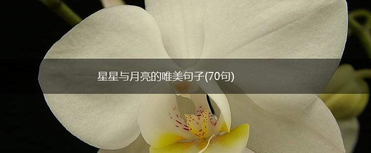 星星与月亮的唯美句子(70句),第1张