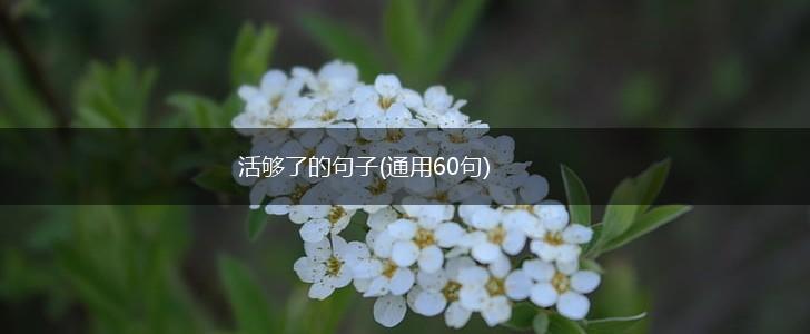 活够了的句子(通用60句),第1张
