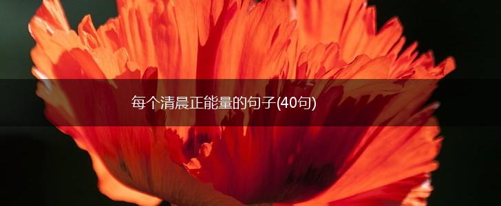 每个清晨正能量的句子(40句),第1张