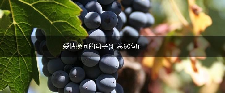 爱情挽回的句子(汇总60句),第1张