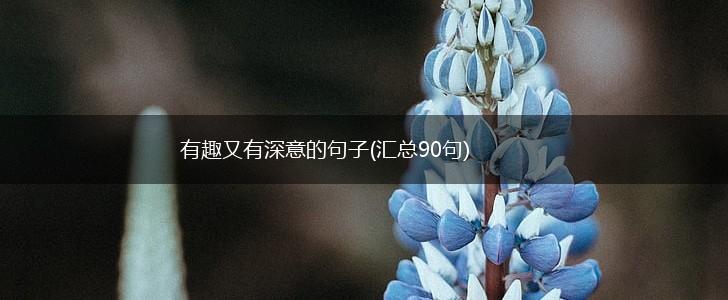 有趣又有深意的句子(汇总90句),第1张