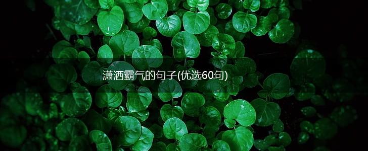 潇洒霸气的句子(优选60句),第1张
