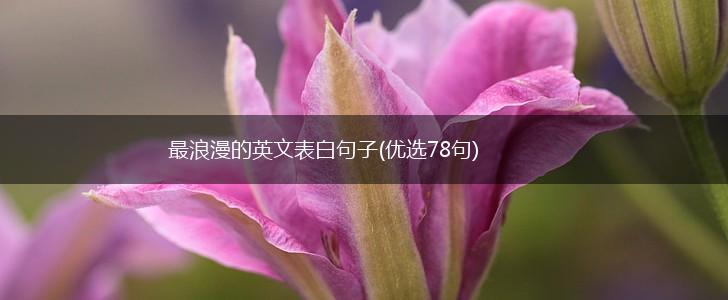 最浪漫的英文表白句子(优选78句),第1张