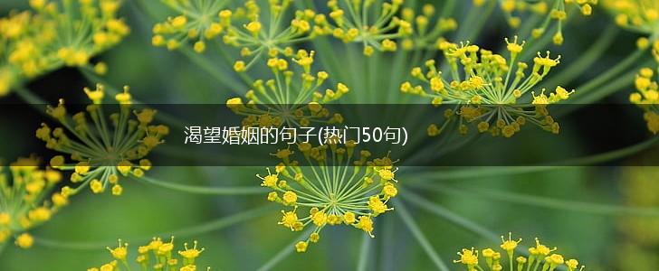渴望婚姻的句子(热门50句),第1张