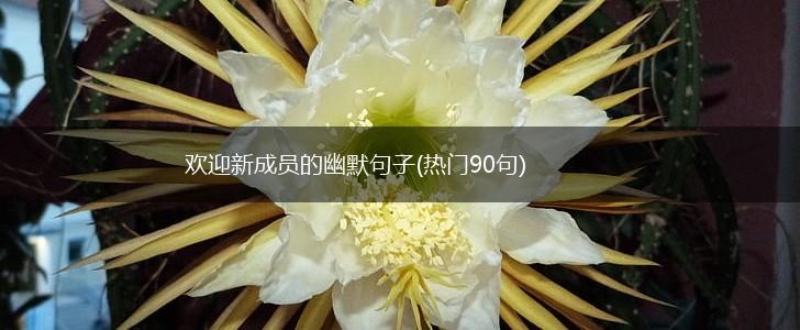 欢迎新成员的幽默句子(热门90句),第1张