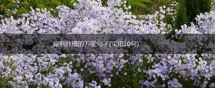 犀利吐槽的万能句子(实用10句),第1张