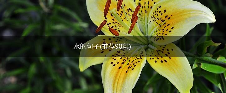 水的句子(推荐90句),第1张