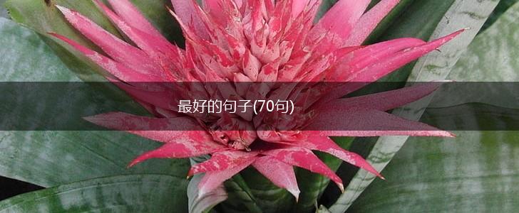 最好的句子(70句),第1张