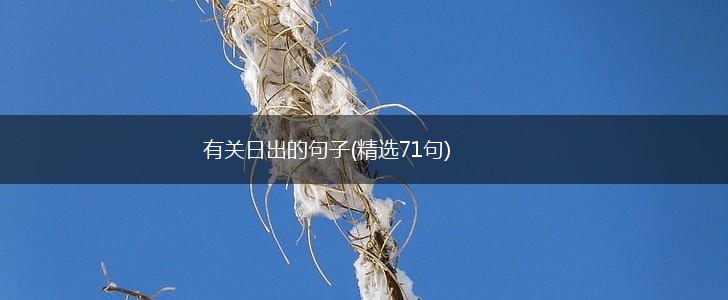 有关日出的句子(精选71句),第1张
