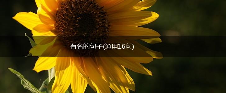 有名的句子(通用16句),第1张