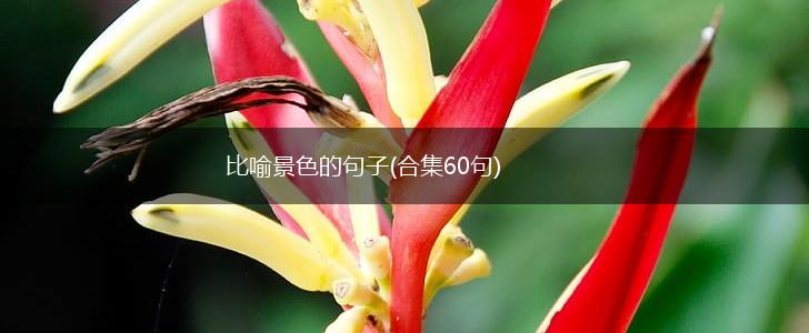 比喻景色的句子(合集60句),第1张