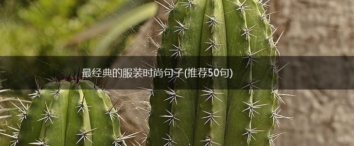 最经典的服装时尚句子(推荐50句),第1张