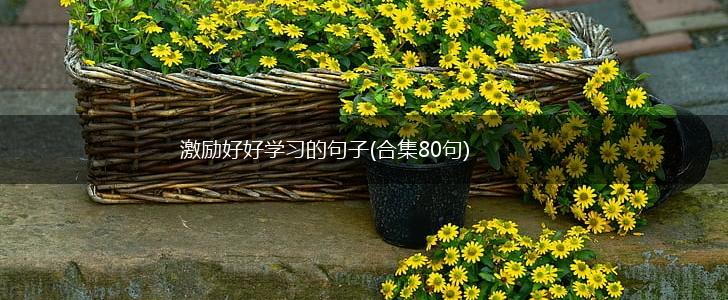 激励好好学习的句子(合集80句),第1张
