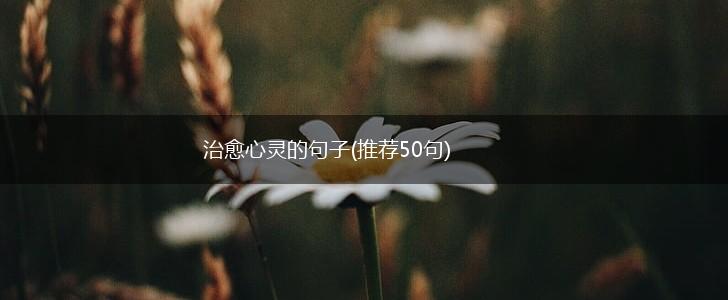 治愈心灵的句子(推荐50句),第1张
