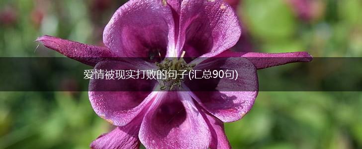 爱情被现实打败的句子(汇总90句),第1张