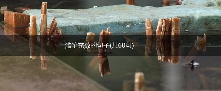 滥竽充数的句子(共60句),第1张