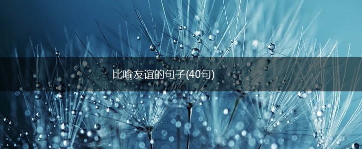比喻友谊的句子(40句),第1张
