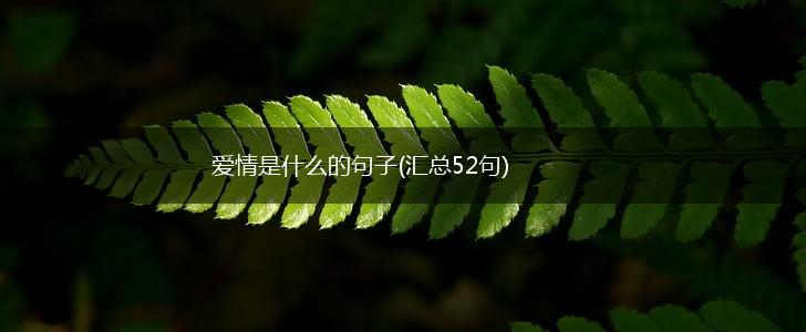 爱情是什么的句子(汇总52句),第1张