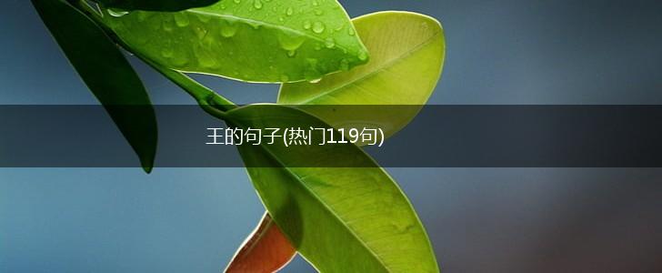 王的句子(热门119句),第1张