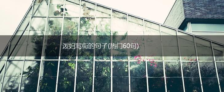泼妇骂街的句子(热门60句),第1张