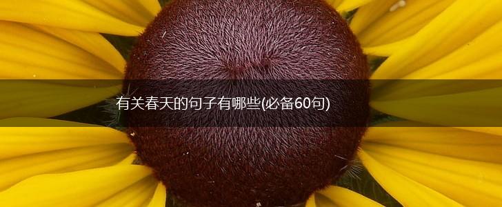 有关春天的句子有哪些(必备60句),第1张