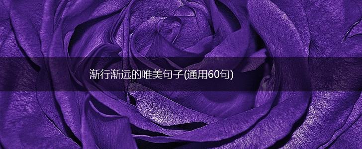 渐行渐远的唯美句子(通用60句),第1张