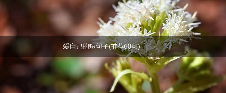 爱自己的短句子(推荐60句),第1张